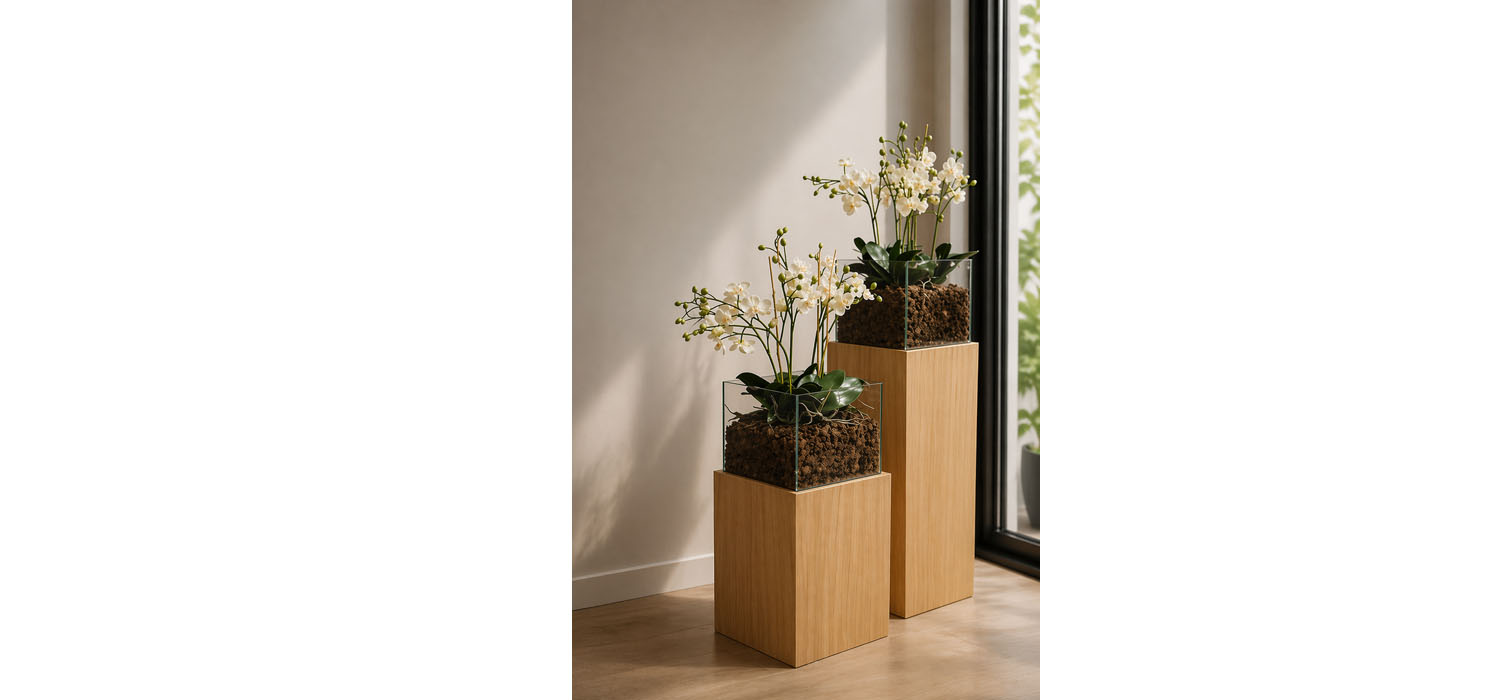 AMBIENTE MACETEROS FORMENTERA